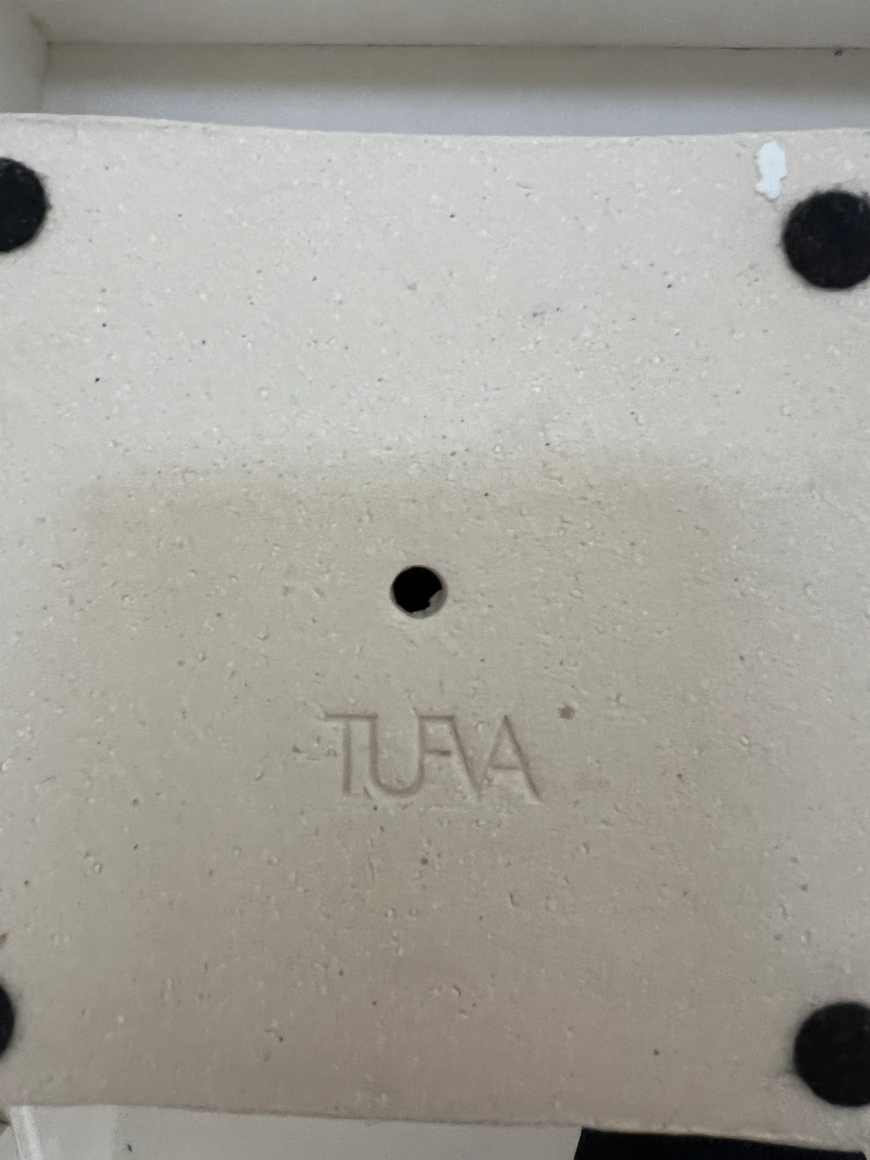 Amoeba - Image 6