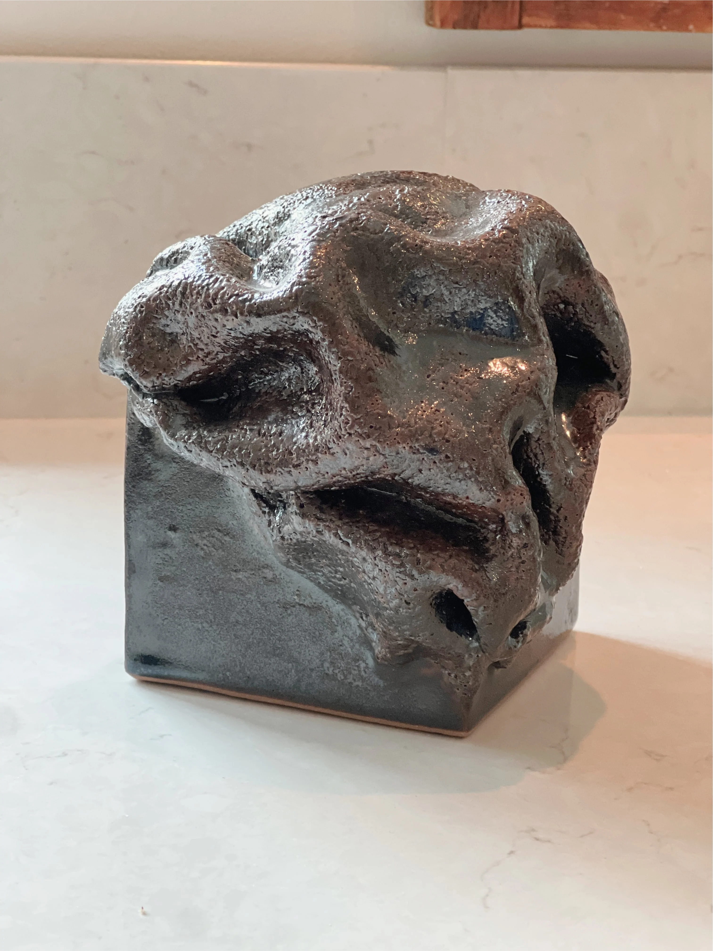Amoeba - Image 3