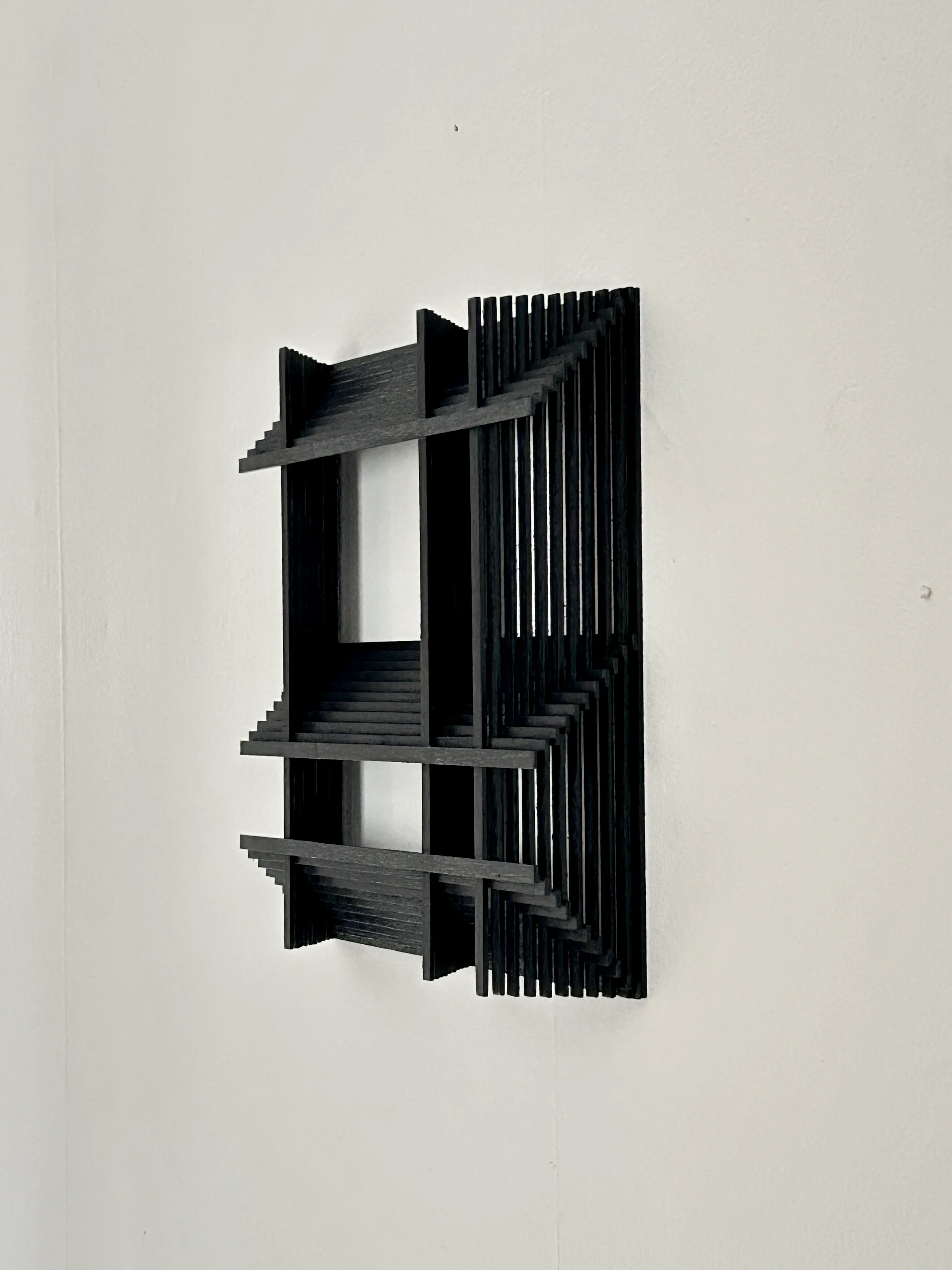 Black 25 - Image 3