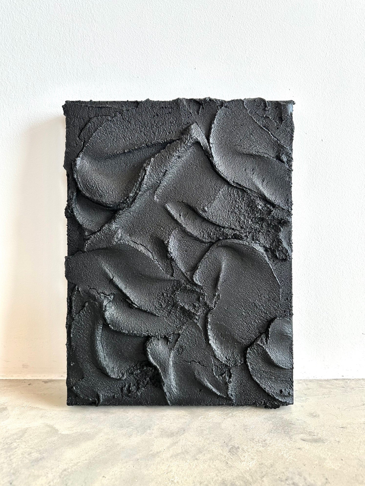Black Beauty, wall art - Image 5