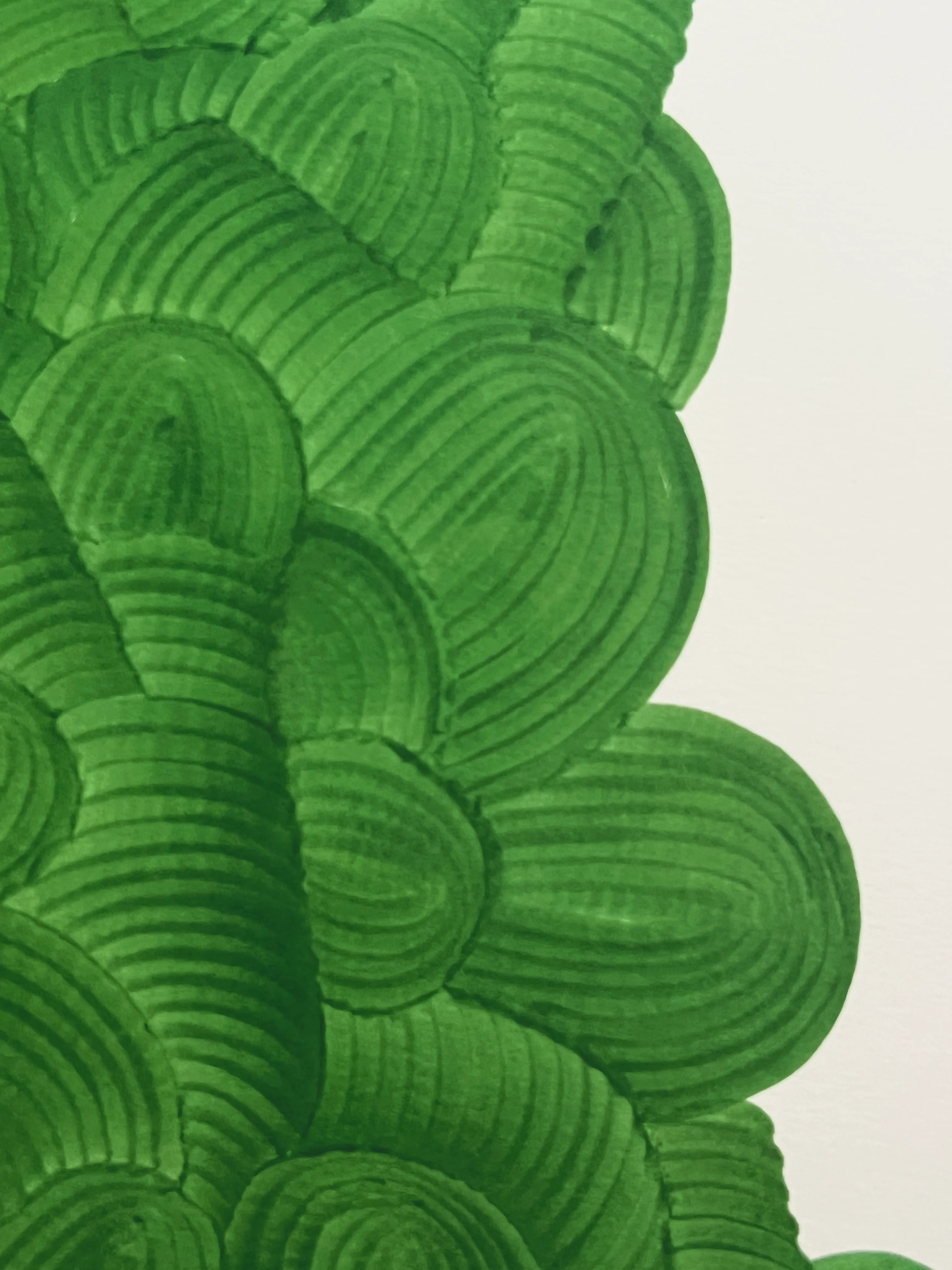 Original on paper, green form - Image 3
