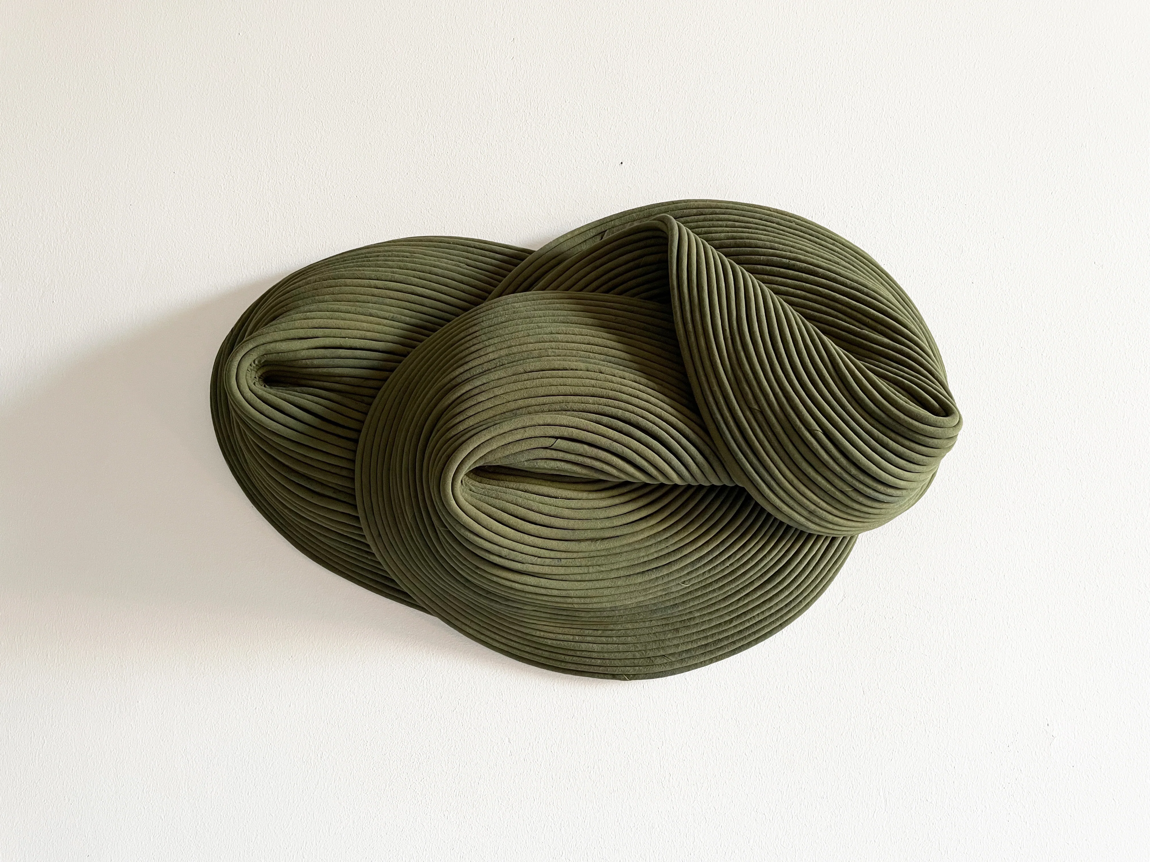 Picea - Image 5