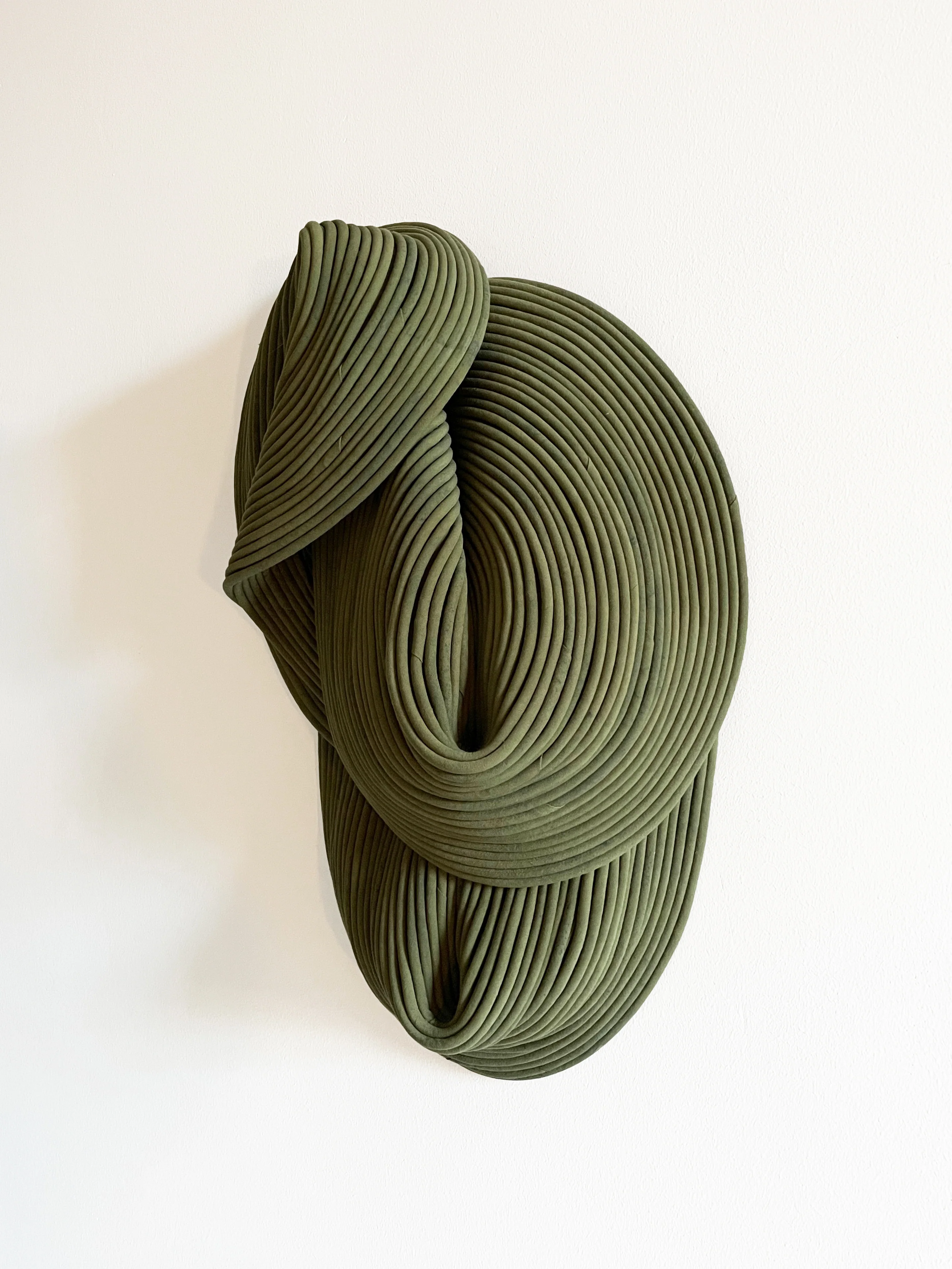 Picea - Image 7
